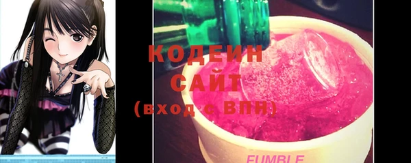 ПСИЛОЦИБИНОВЫЕ ГРИБЫ Верея