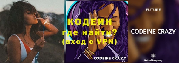 ПСИЛОЦИБИНОВЫЕ ГРИБЫ Верея