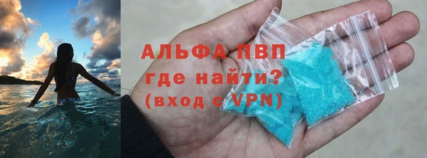 ПСИЛОЦИБИНОВЫЕ ГРИБЫ Верея