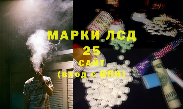 ПСИЛОЦИБИНОВЫЕ ГРИБЫ Верея