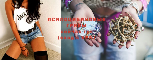 ПСИЛОЦИБИНОВЫЕ ГРИБЫ Верея