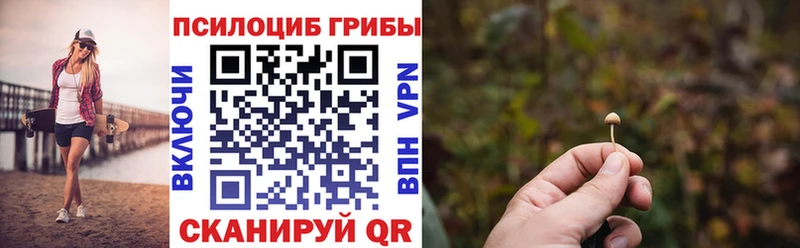 Псилоцибиновые грибы MAGIC MUSHROOMS  hydra как зайти  Новокузнецк 